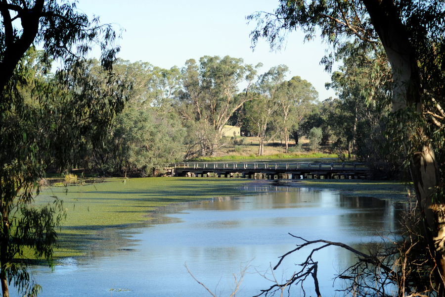 Tahbilk Wetlands Eco-Trail ~ Weighted Walking Program